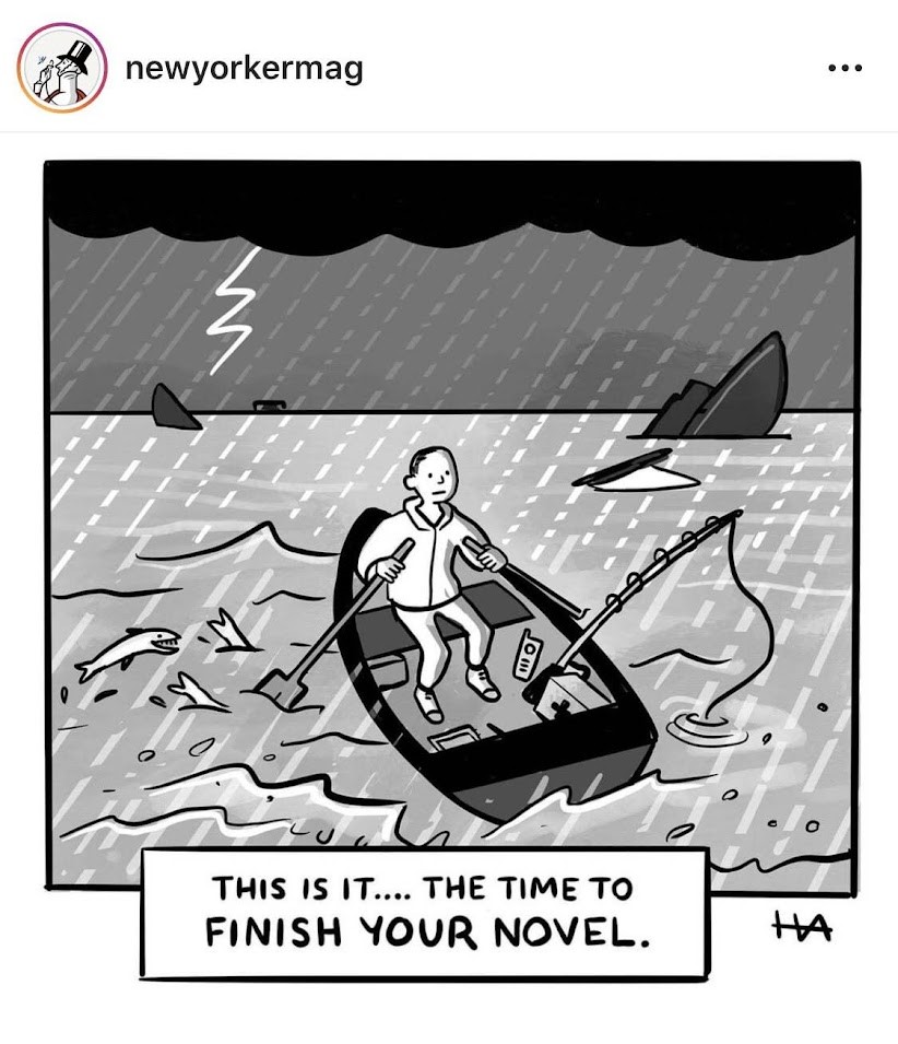 Comic from the New York Times: A rower on a stormy sea with the caption "This is it... the time to finish your novel."