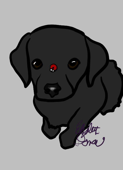 Outline has been colored in. The puppy is in dark gray and the eyes are deep brown with white highlights. The ladybug is red with white eyes and one black spot on its back.