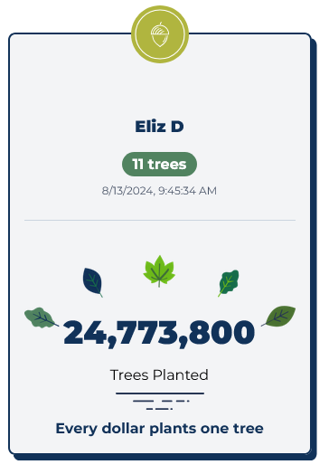 A screenshot from TeamTrees.org stating that Eliz D donated to plant 11 trees.