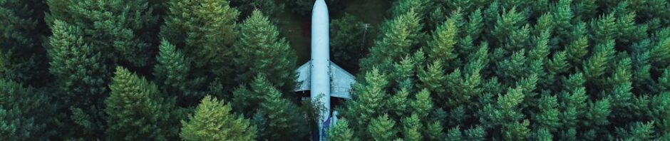 A plane in the middle of a forest of conifers