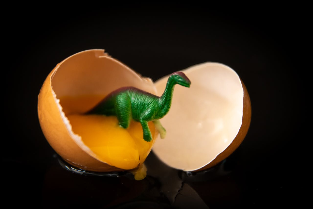 Writing Prompt: The Mysteeeerious Egg