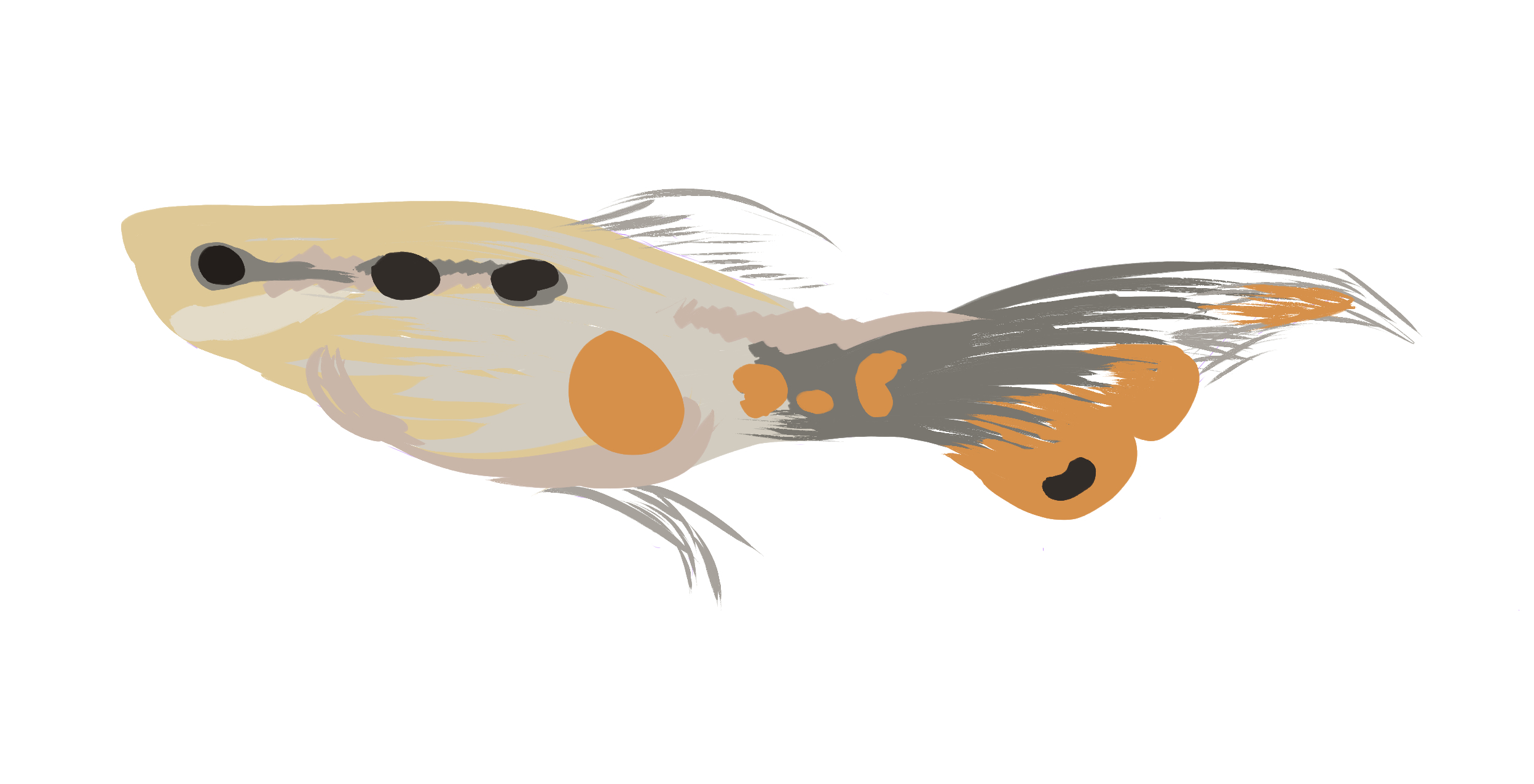 An illustration of a small fish with orange and black spots