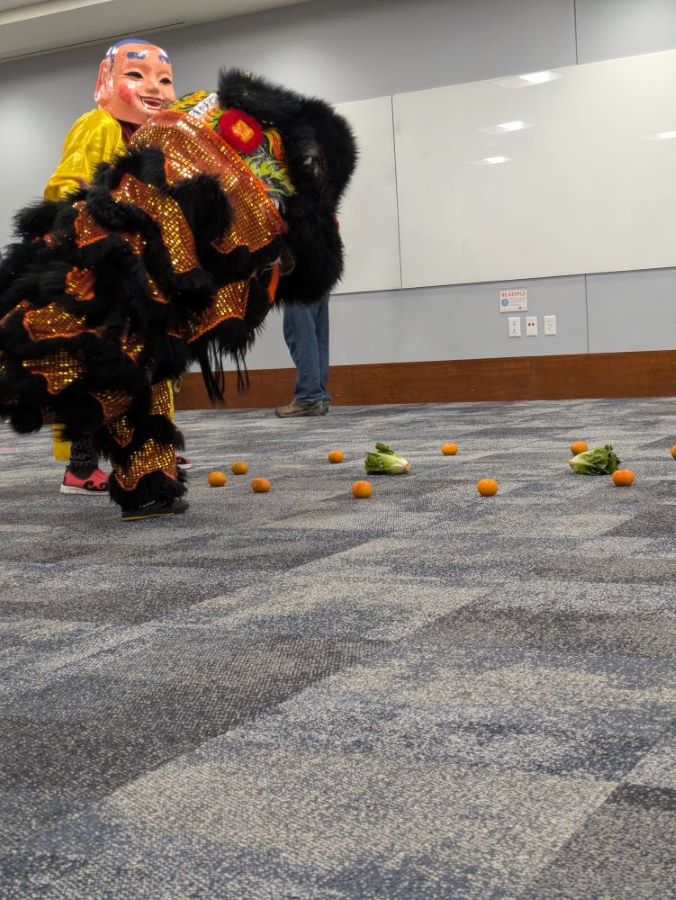 A black lion (with only one young dancer beneath) looks at a ring of tangerines surrounding two heads of leafy lettuce