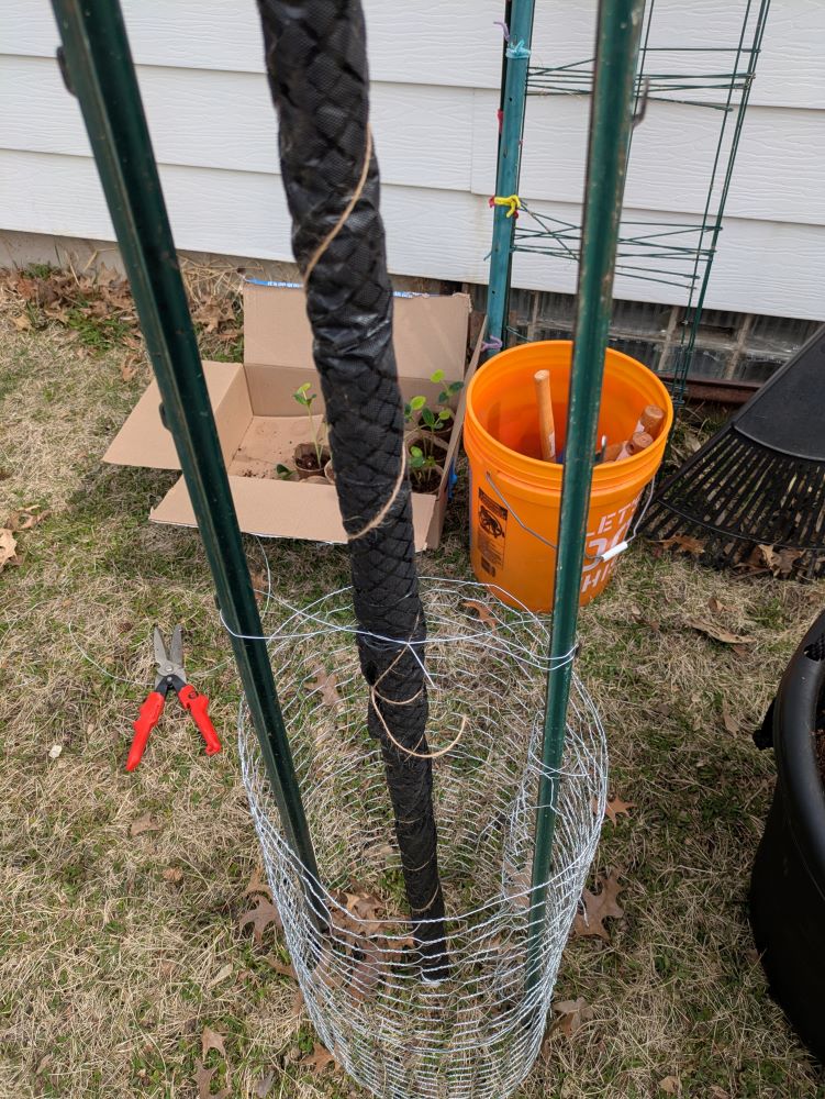 Same chicken wire assembly with a black-wrapped pipe inserted down the middle
