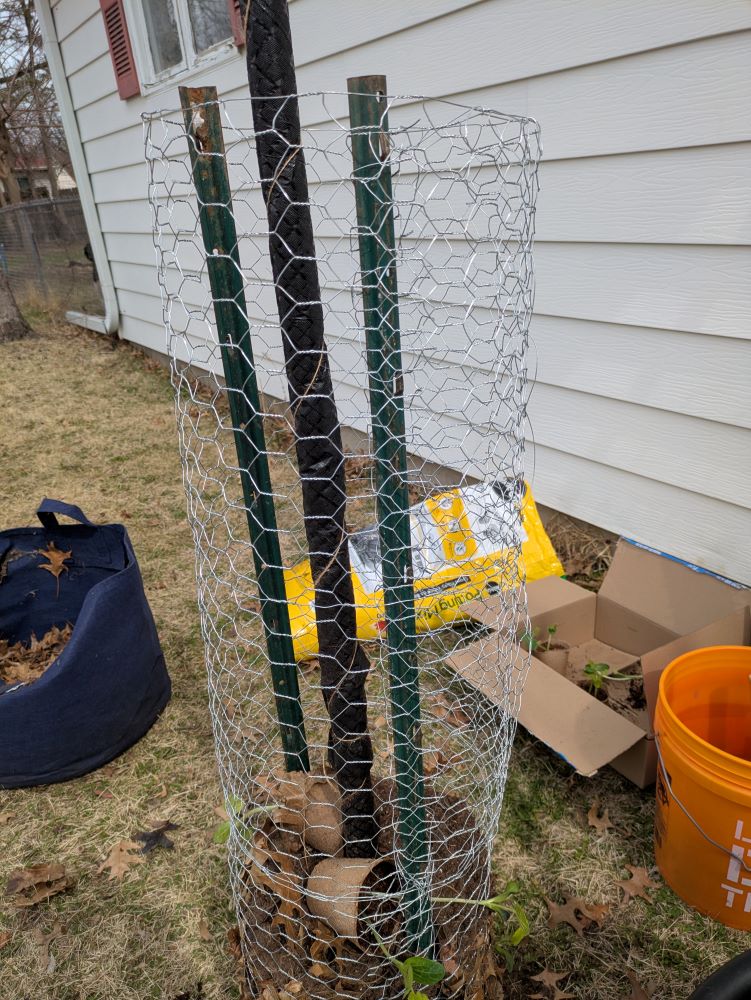 Side view of chicken wire assemblage, showing the first layer of soil inserts