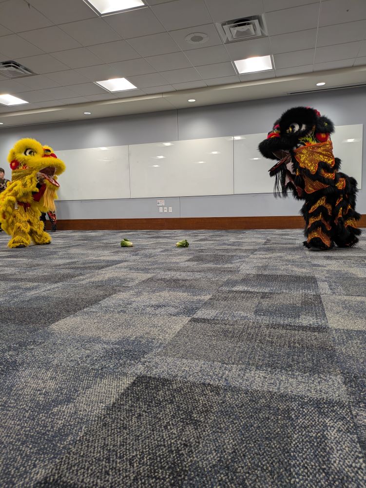 Two young lions, one black and red, the other gold and red, approach the two heads of lettuce