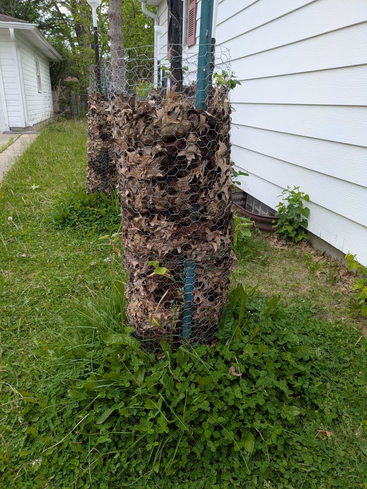 tower of dirt with sprouts coming out of the sides
