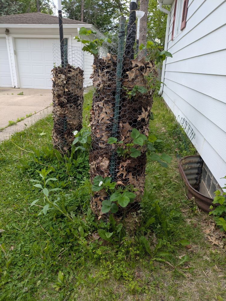 tower of dirt with strawberry and marigold plants sprouting out of it